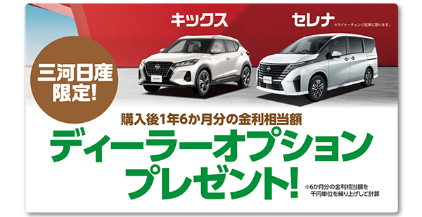 ディーラーオプション